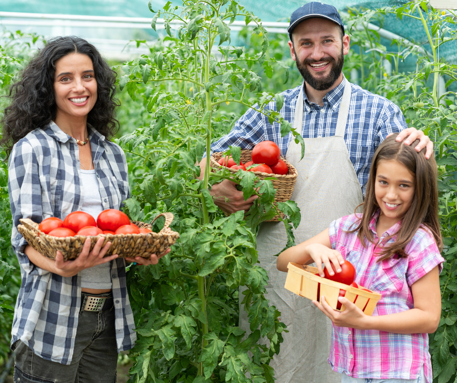 Lei 15.184/2025 garante o acesso das cooperativas ao FNDCT