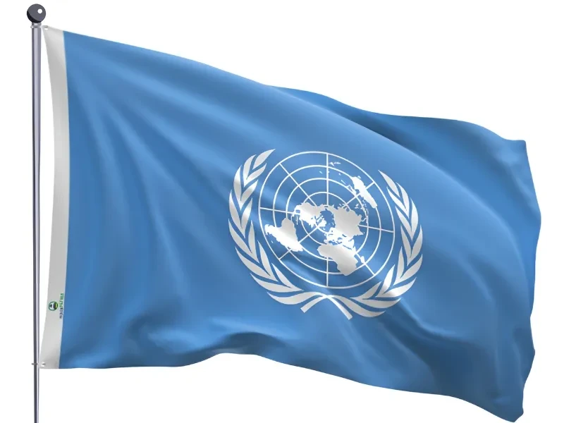 Ano Internacional das Cooperativas passa a integrar agenda decenal da ONU